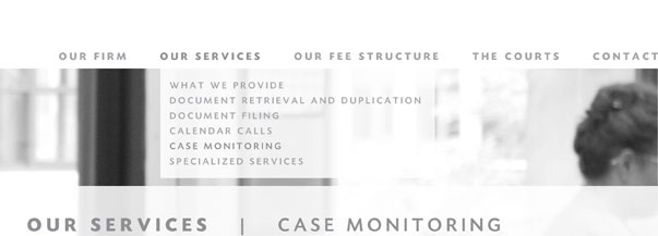Our Services: Case Monitoring